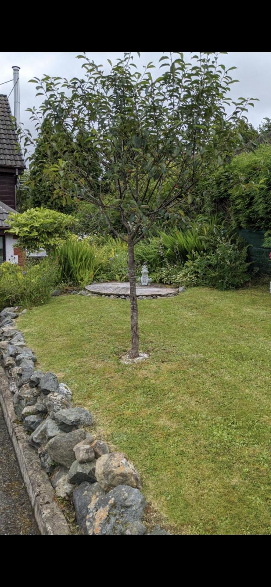 Contemporary Highland House Close To Town And Ben Nevis Fort William Exterior photo